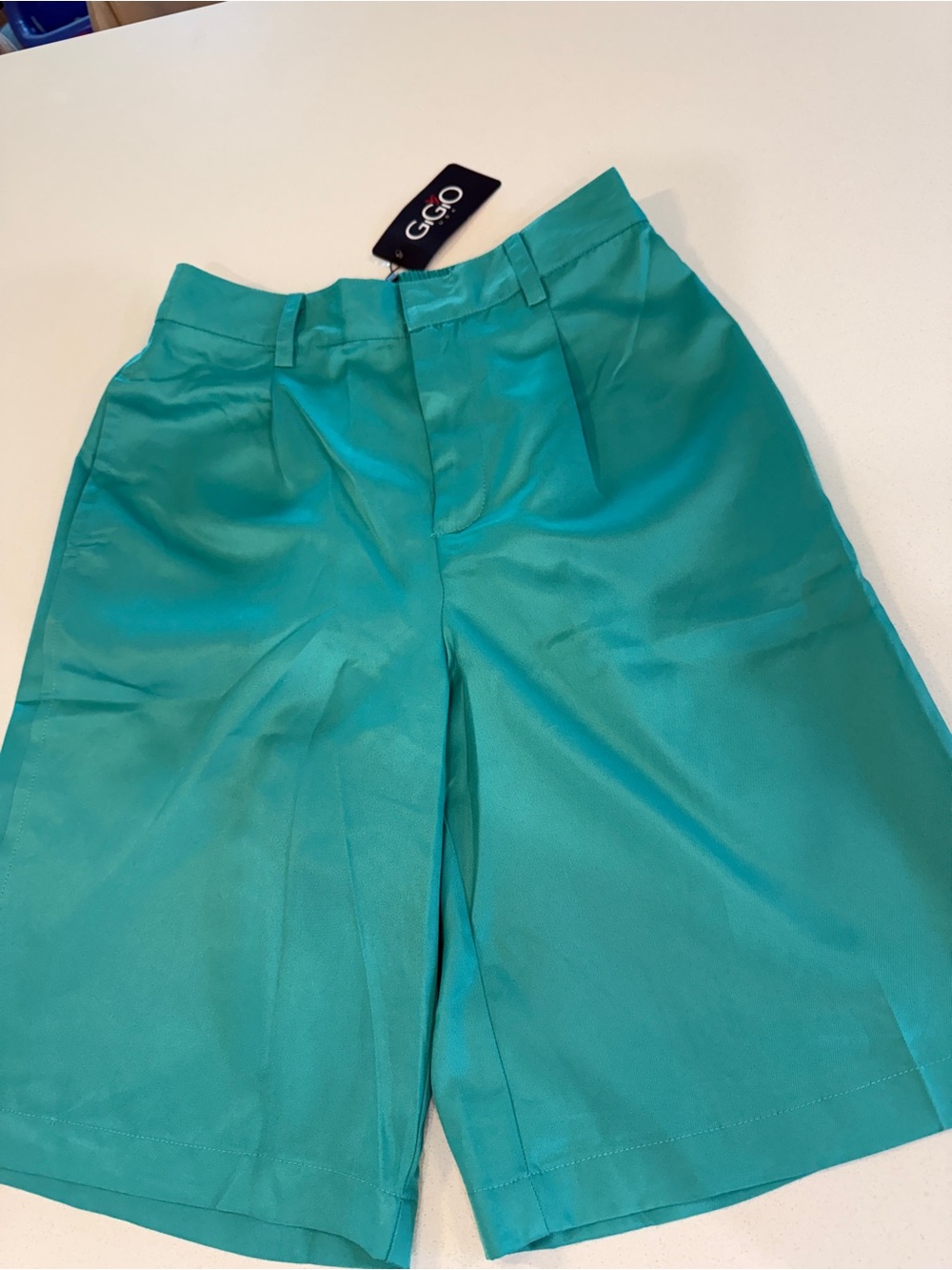 GiGIO USA Teal Elastic-Waist Skirt/Bottom